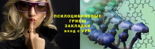 дживик Липки