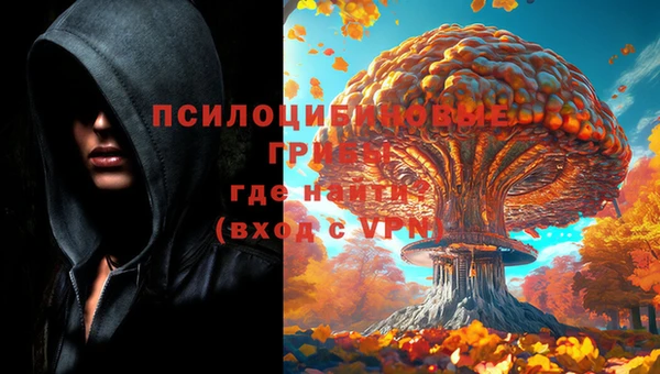 дживик Липки