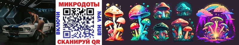 Галлюциногенные грибы Psilocybine cubensis Печора
