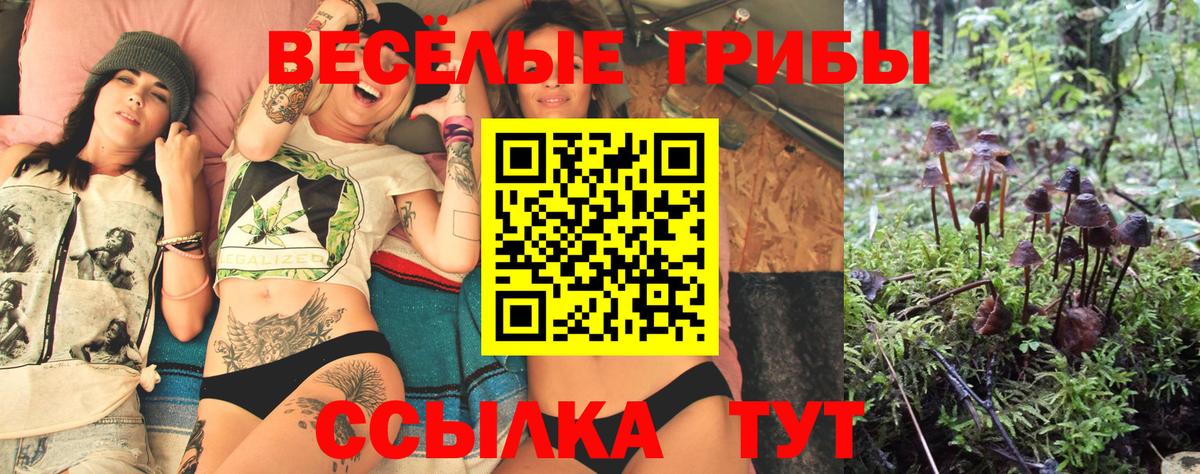 Псилоцибиновые грибы ЛСД  Псилоцибиновые грибы мухоморы  Печора 