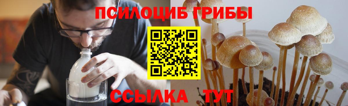 ЭКСТАЗИ  Cocaine  Кетамин  Вход с VPN  Печора  Марихуана  Марихуана  NBOMe  Меф кристаллы  ГАШИШ 